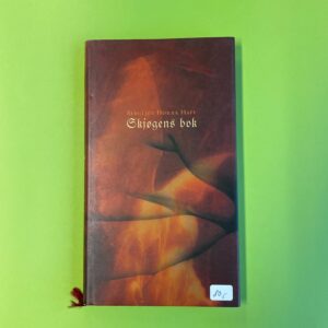 Skjøgens bok - Bergljot Hobæk Haff