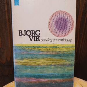Søndag ettermiddag - Bjørg Vik