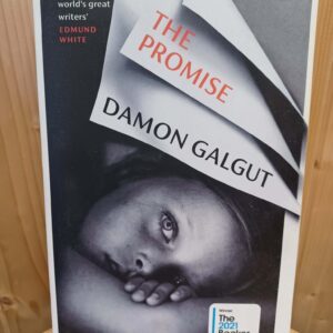 The Promise - Damon Galgut