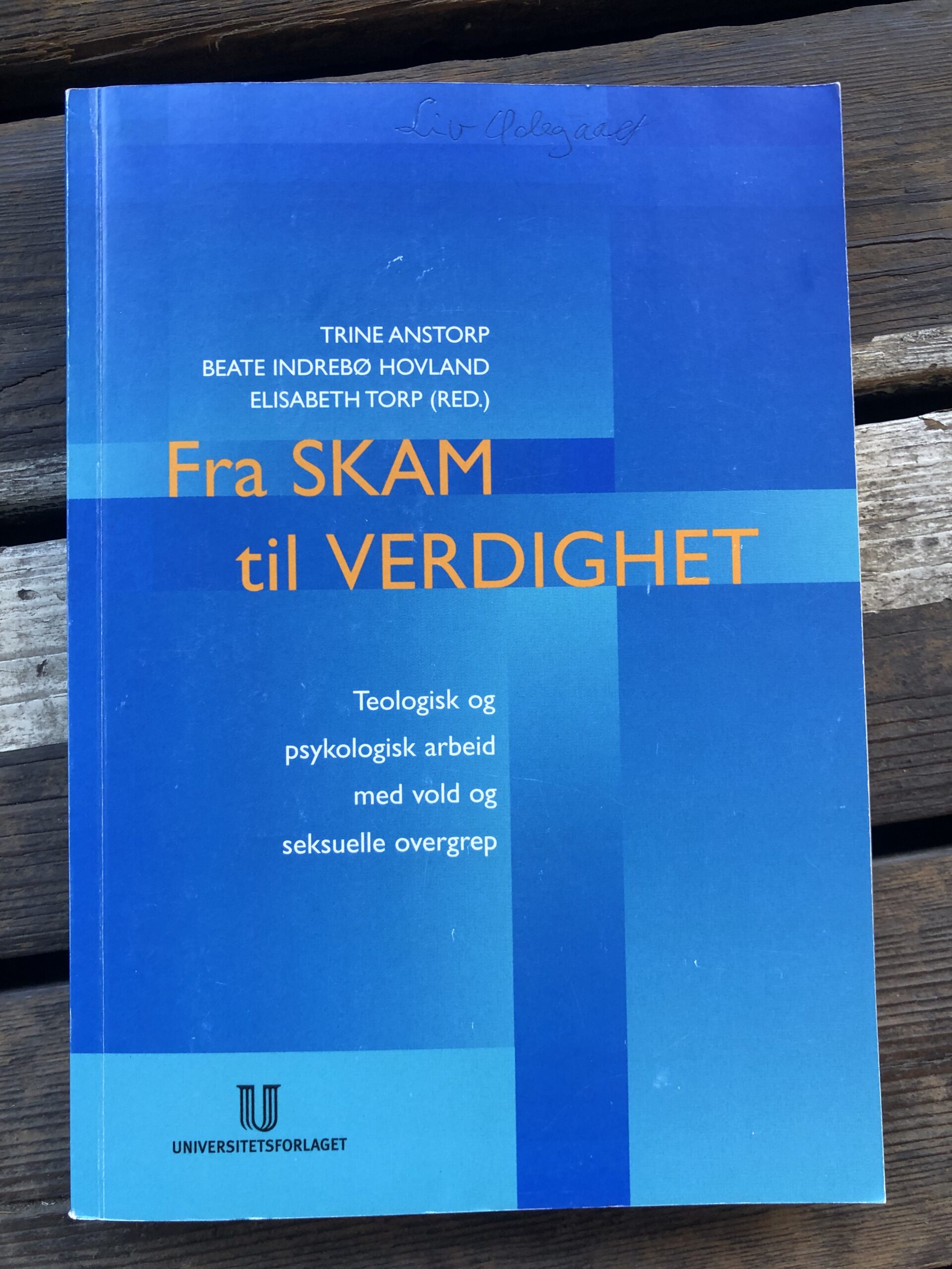 Fra Skam til Verdighet: Teologisk og psykologisk arbeid med vold og seksuelle overgrep - Trine Anstorp, Beate Indrebø Hovland og Elisabeth Torp