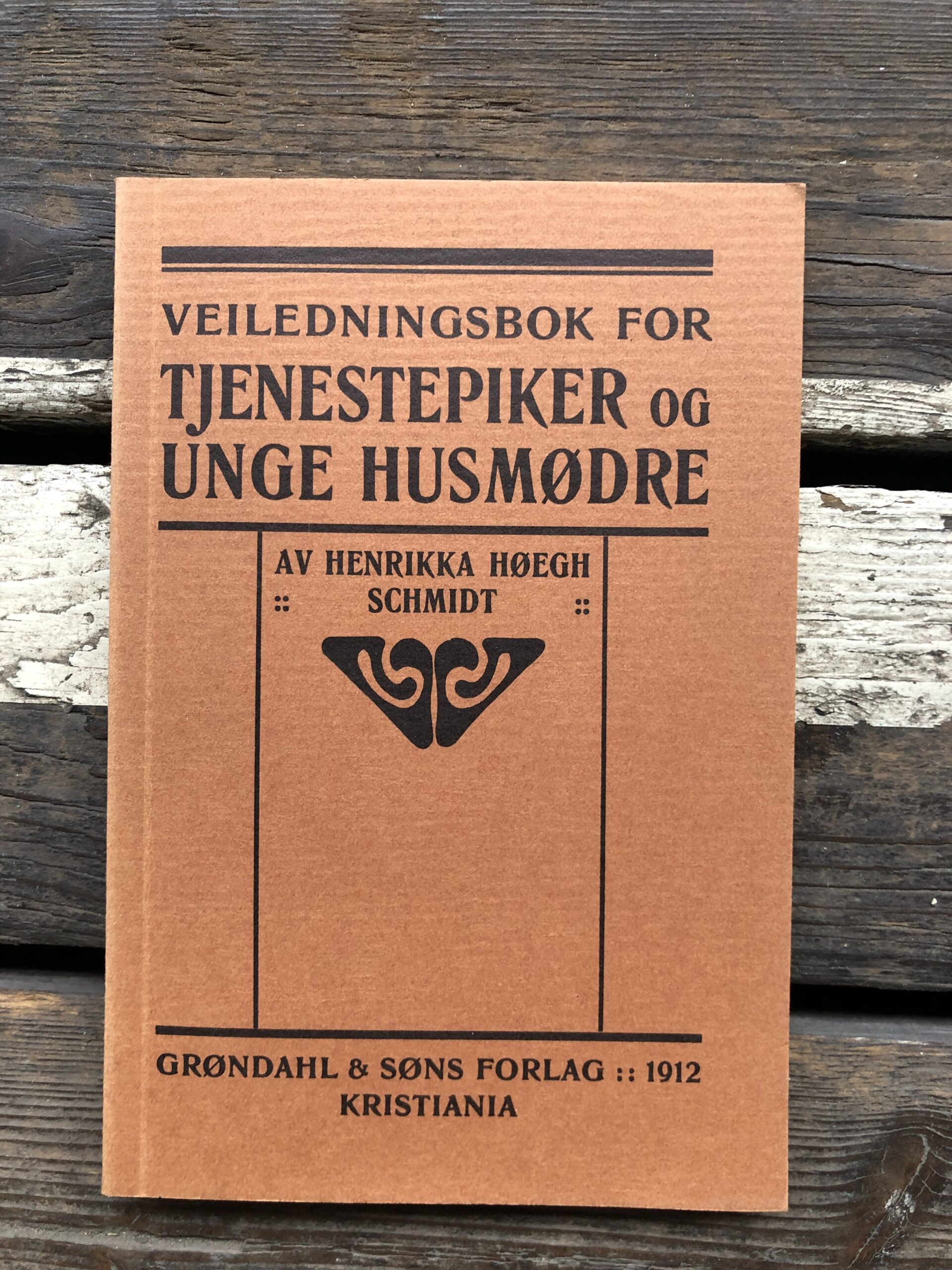 Veiledningsbok for tjenestepiker og unge husmødre - Henrikka Høegh Schmidt