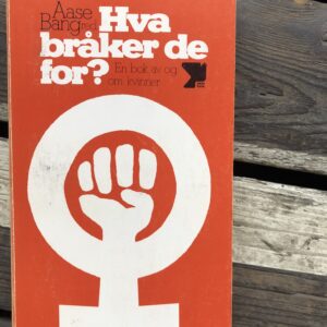 Hva bråker de for?: En bok av og om kvinner - Aase Bang (red)