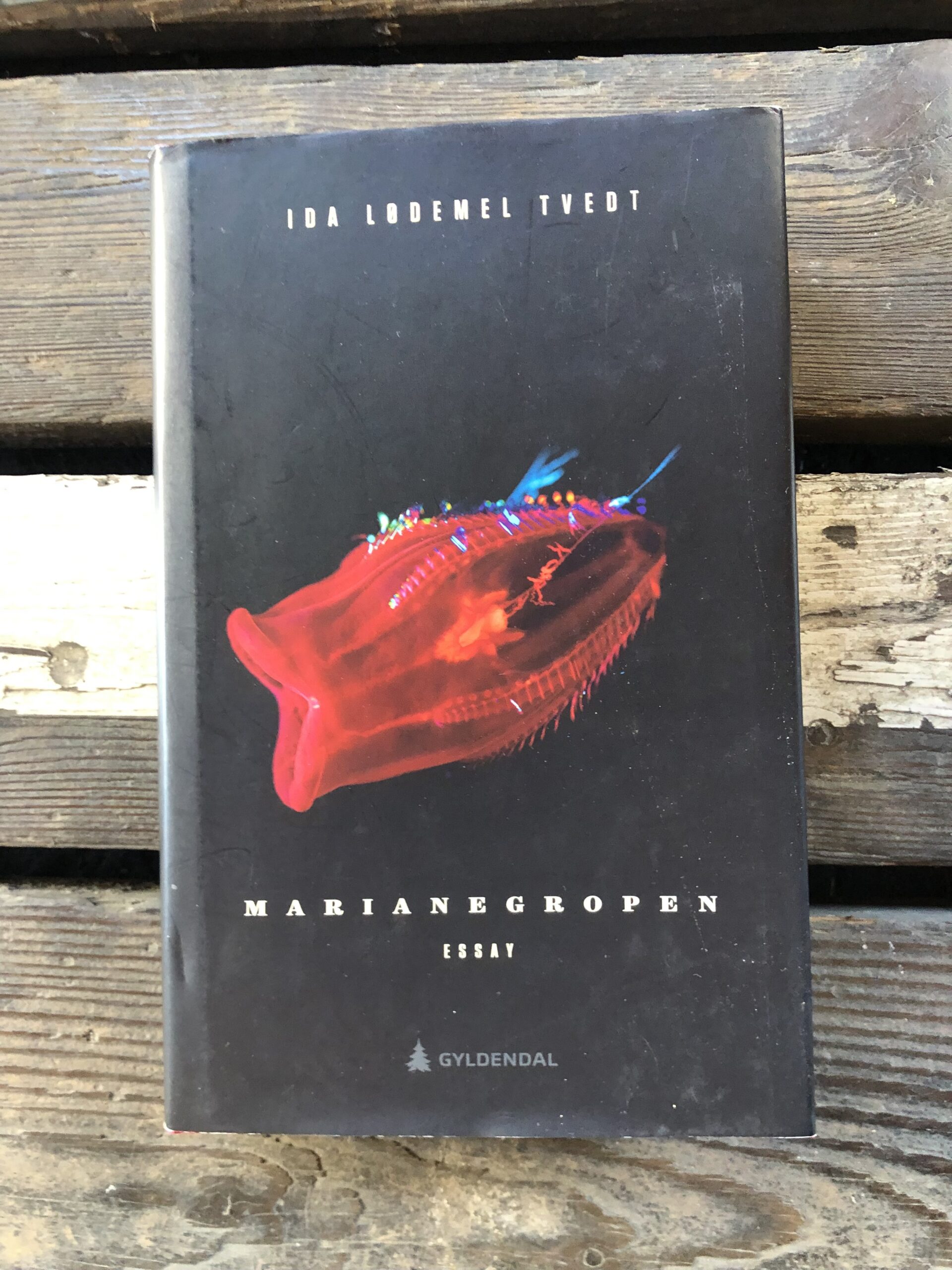 Marinegropen - Ida Lødemel Tvedt