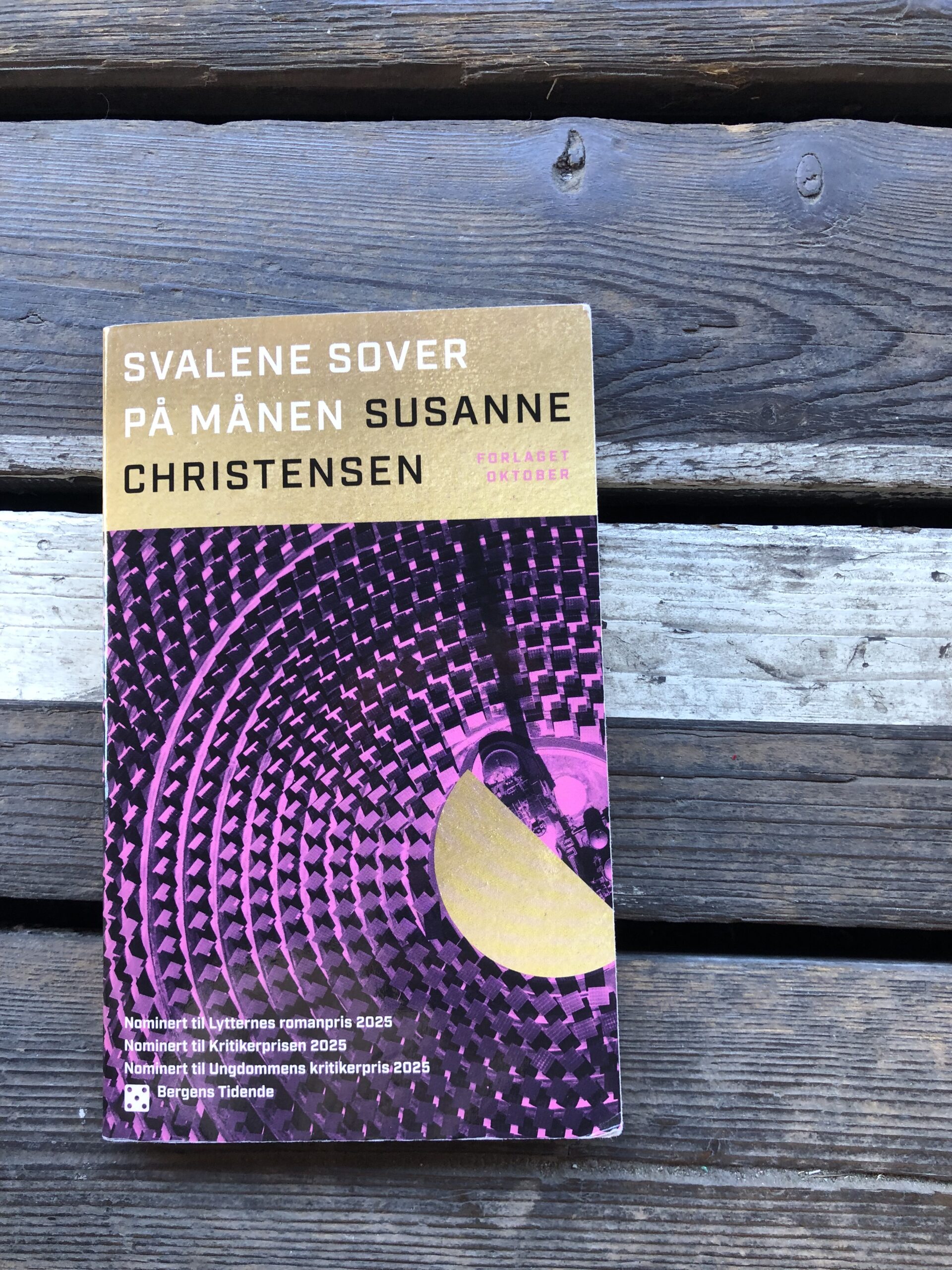 Svalene sover på månen - Susanne Christensen