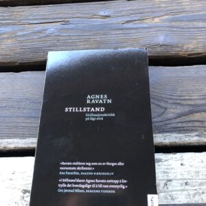Stillstand: Sivilisasjonskritikk på lågt nivå - Agnes Ravatn