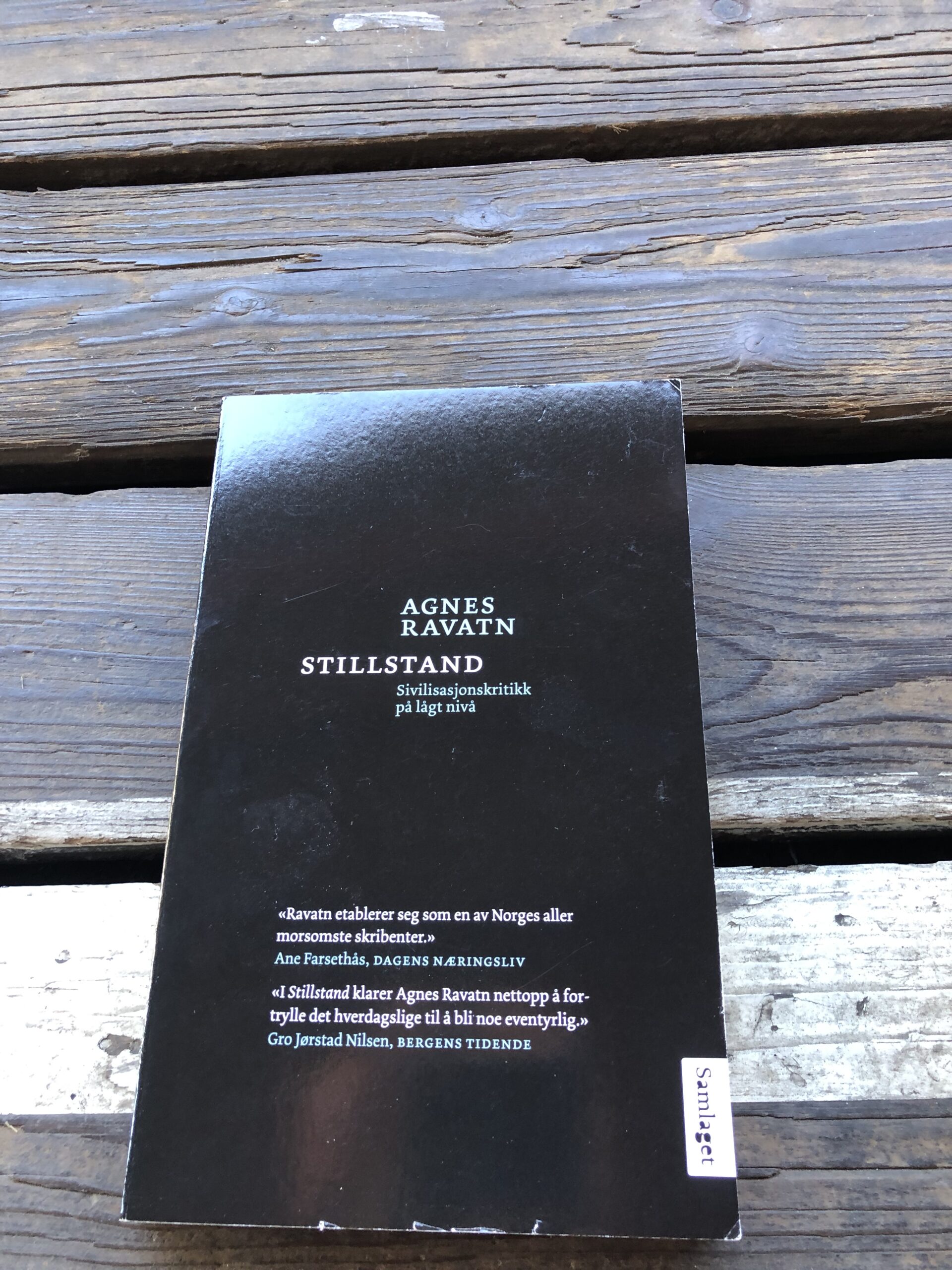 Stillstand: Sivilisasjonskritikk på lågt nivå - Agnes Ravatn