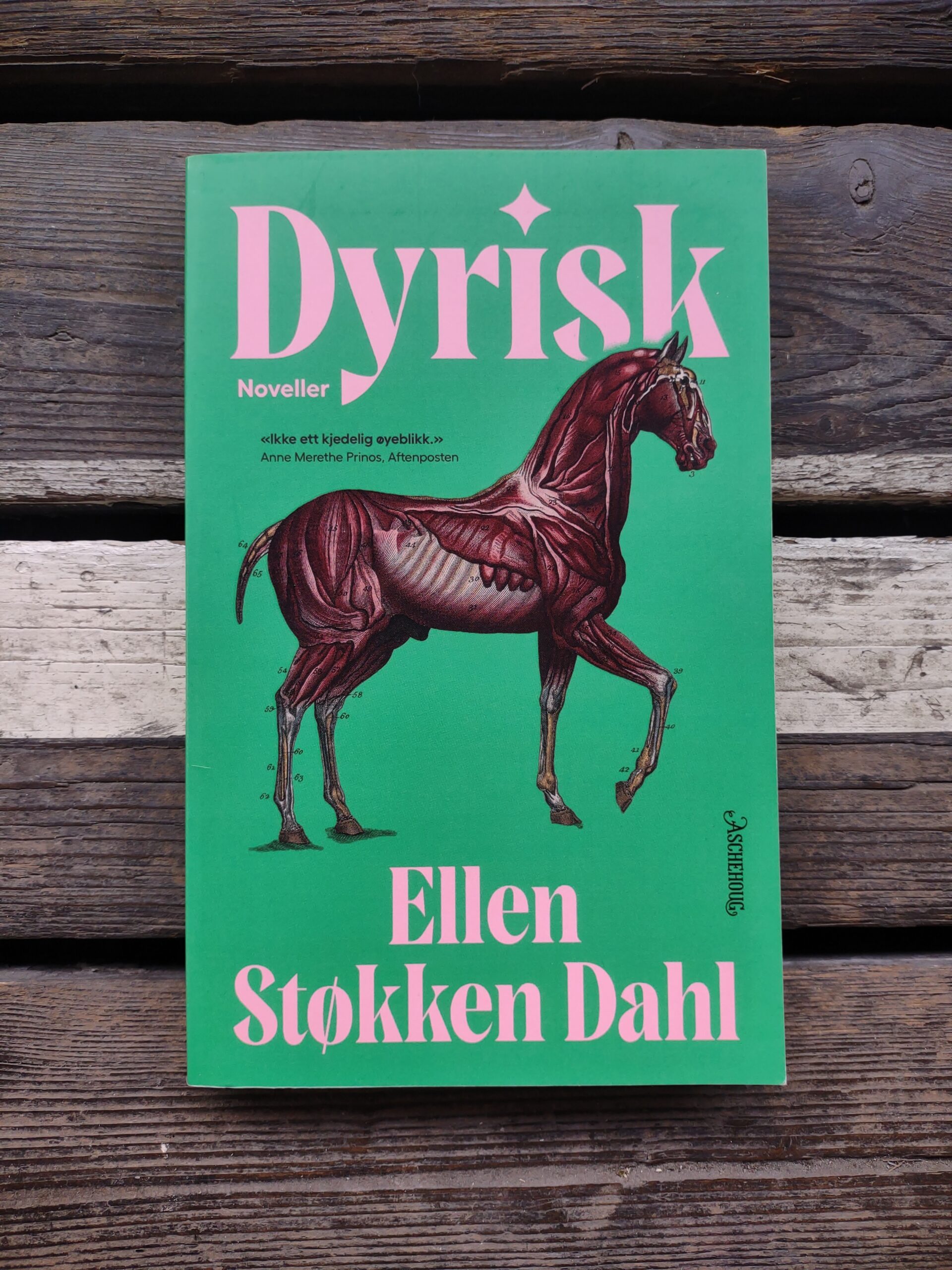 Dyrisk - Ellen Støkken Dahl