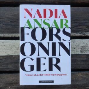 Forsoninger (Veiene ut av det vonde og uoppgjorte) - Nadia Ansar