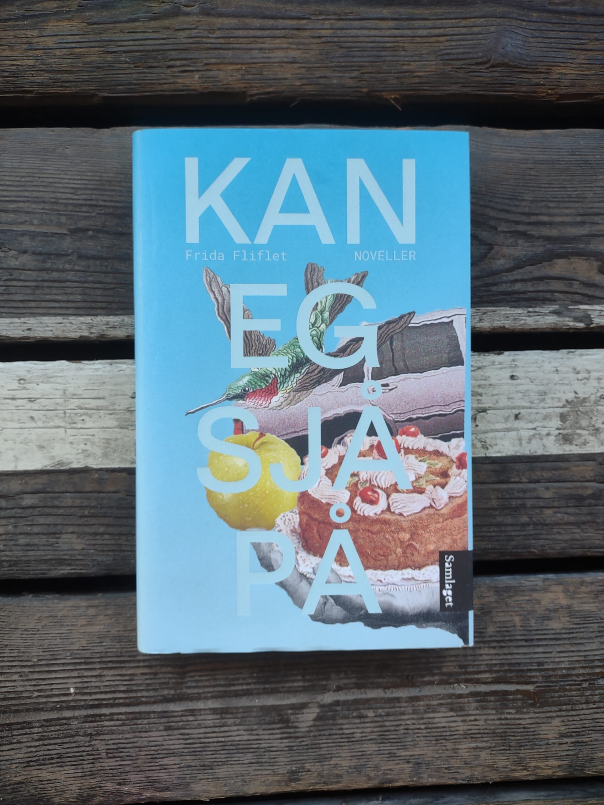 Kan eg sjå på - Frida Fliflet