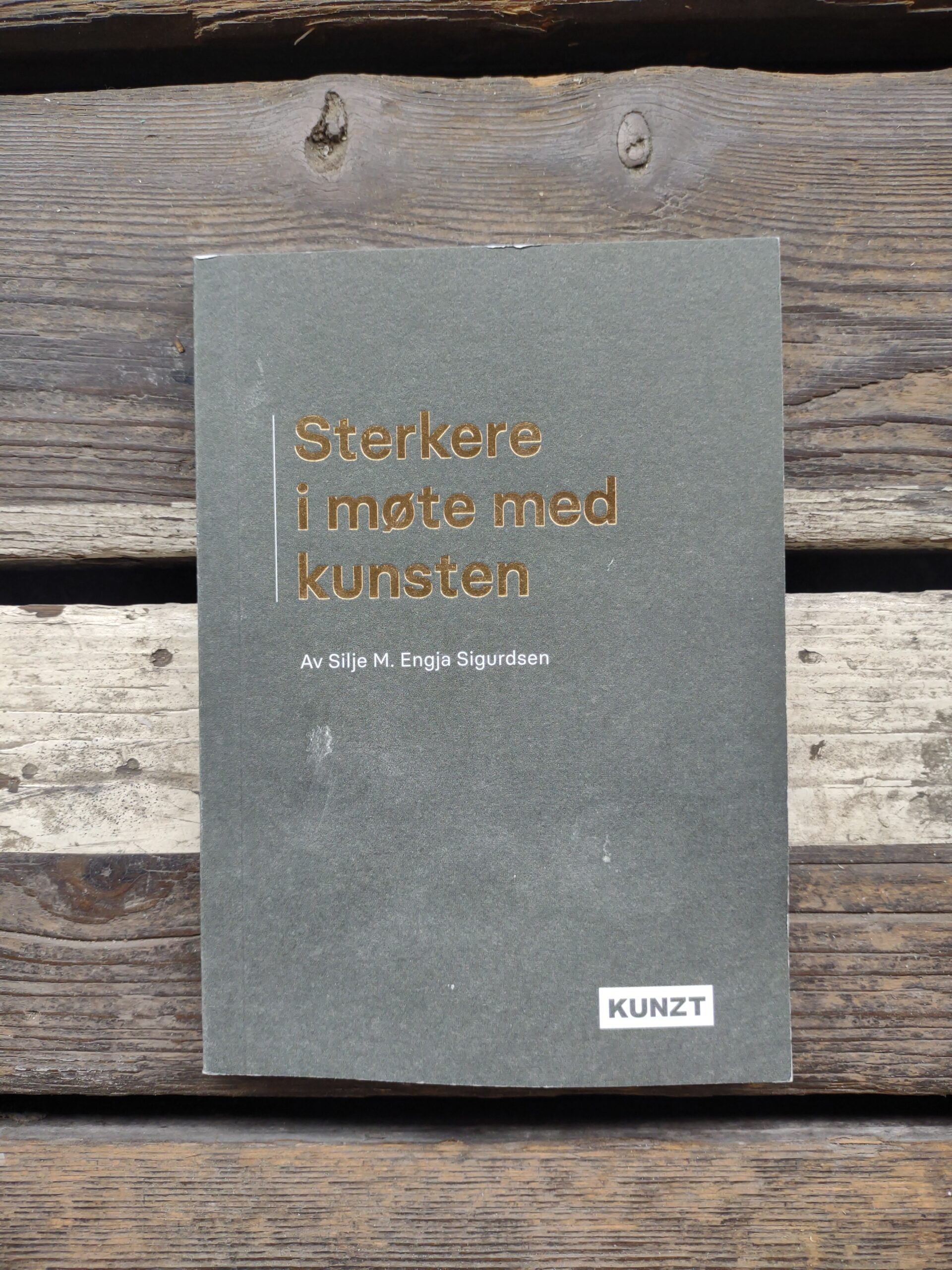 Sterkere i møte med kunsten - Silje M. Engia Sigurdsen
