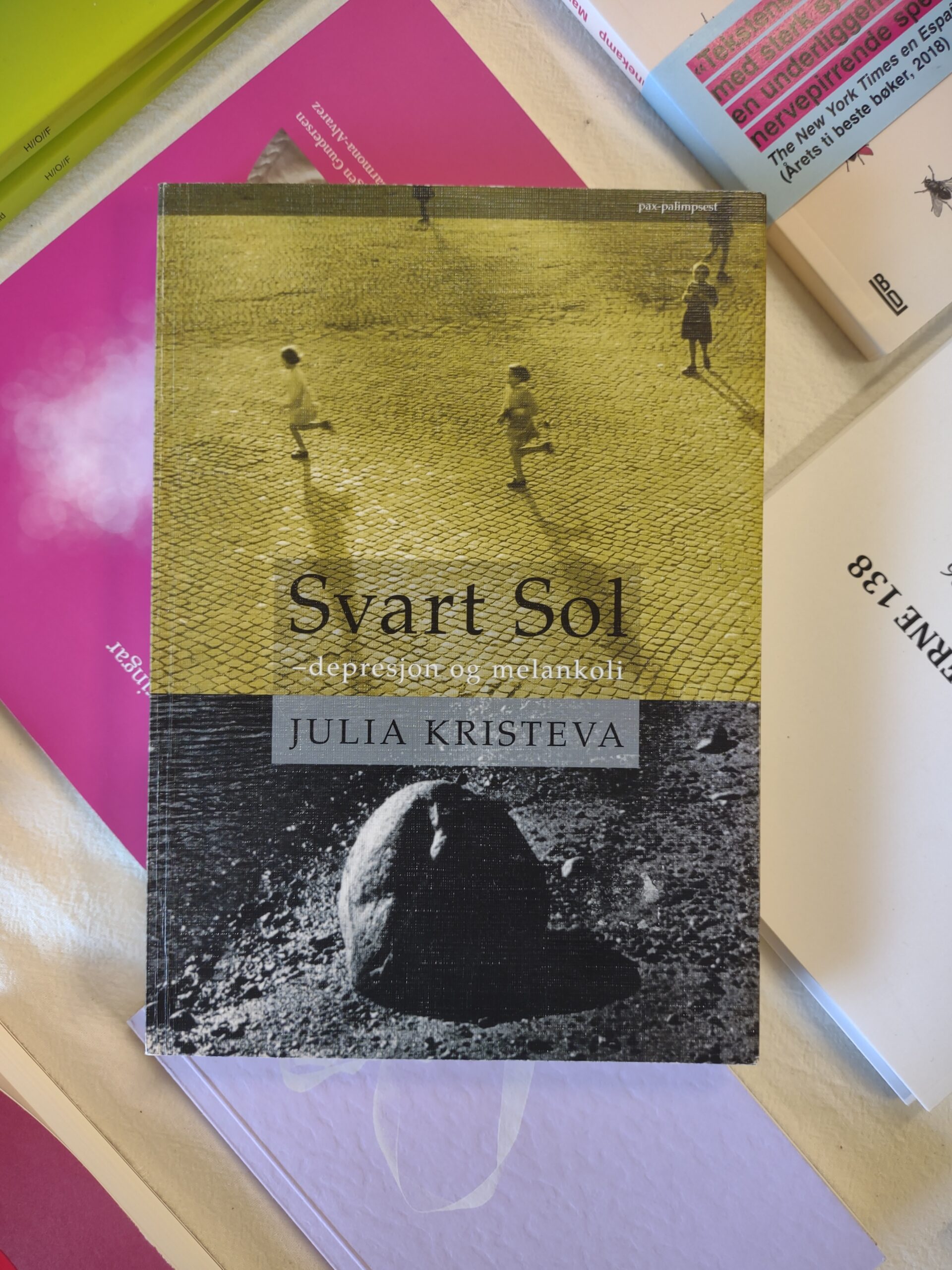 Svart sol: depresjon og melankoli - Julia Kristeva
