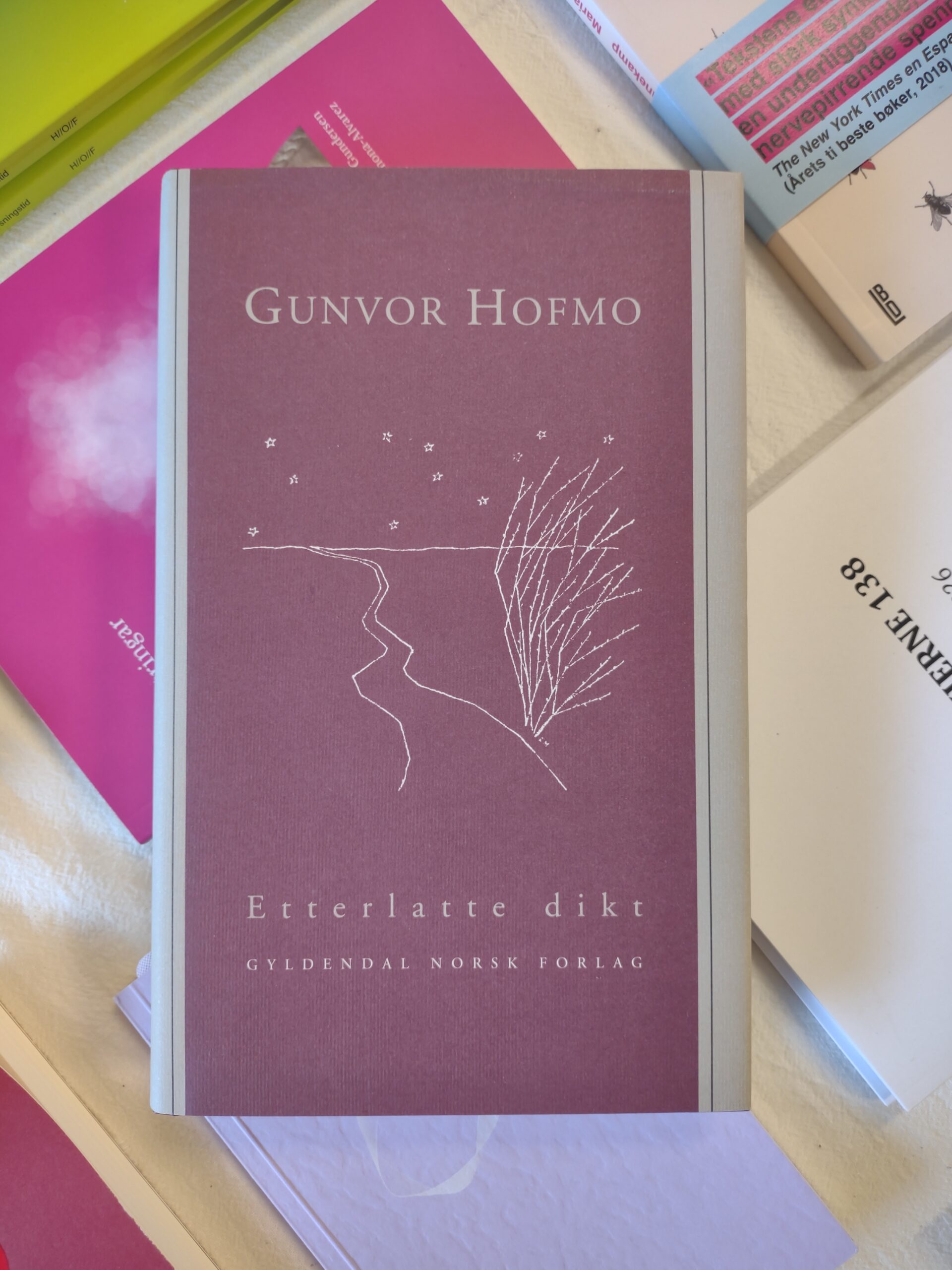 Etterlatte dikt - Gunvor Hofmo